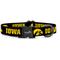 Show in main carousel: ShopInstaPets NCAA Polyester Standard Dog Collar, X-Small: 8 to 12-in neck, 1/2-in wide, Iowa Hawkeyes slide 1 of 5