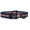 Show in main carousel: ShopInstaPets NCAA Polyester Standard Dog Collar, Large: 16 to 26-in neck, 1-in wide, Auburn Tigers slide 1 of 6