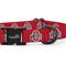 Show in main carousel: ShopInstaPets NCAA Polyester Standard Dog Collar, Small: 11 to 16-in neck, 1/2-in wide, Ohio State Buckeyes slide 3 of 5
