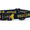 Show in main carousel: ShopInstaPets NCAA Polyester Standard Dog Collar, Small: 11 to 16-in neck, 1/2-in wide, Michigan Wolverines slide 3 of 5