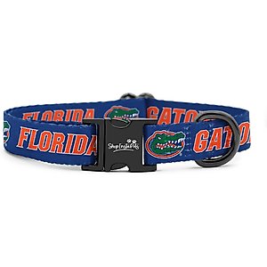 ShopInstaPets NCAA Polyester Standard Dog Collar, Small: 11 to 16-in neck, 1/2-in wide, Florida Gators