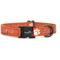Show in main carousel: ShopInstaPets NCAA Polyester Standard Dog Collar, X-Small: 8 to 12-in neck, 1/2-in wide, Clemson Tigers slide 1 of 5