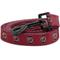 Show in main carousel: ShopInstaPets NCAA Polyester Dog Leash, 6-ft long, 1-in wide, South Carolina Gamecocks slide 1 of 3