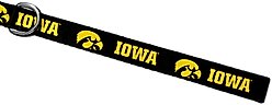 ShopInstaPets NCAA Polyester Dog Leash, 6-ft long, 1-in wide, Iowa Hawkeyes slide 2 of 3