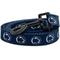 Show in main carousel: ShopInstaPets NCAA Polyester Dog Leash, 6-ft long, 1-in wide, Penn State slide 1 of 4