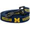Show in main carousel: ShopInstaPets NCAA Polyester Dog Leash, 6-ft long, 1-in wide, Michigan Wolverines slide 1 of 3