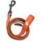 Show in main carousel: ShopInstaPets NCAA Polyester Dog Leash, 6-ft long, 1-in wide, Clemson Tigers slide 2 of 3