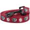 Show in main carousel: ShopInstaPets NCAA Polyester Dog Leash, 6-ft long, 1-in wide, Alabama Crimson Tide slide 1 of 3