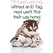 Show in main carousel: ShopInstaPets Virginia Cavaliers 2 Sided Heart Personalized Dog & Cat ID Tag slide 4 of 4