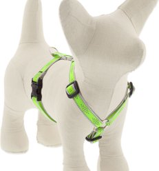 LupinePet Reflective Diamonds Adjustable Dog Harness, Green Diamond, Small: 12 to 20-in chest, 1/2-in wide