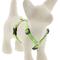 Show in main carousel: LupinePet Reflective Diamonds Adjustable Dog Harness, Green Diamond, Small: 12 to 20-in chest, 1/2-in wide slide 1 of 6