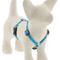 Show in main carousel: LupinePet Reflective Diamonds Adjustable Dog Harness, Blue Diamond, Small: 12 to 20-in chest, 1/2-in wide slide 1 of 6