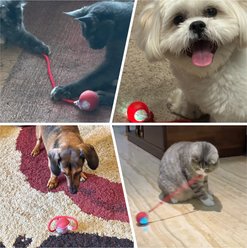 Pawsible Smart Pet Chase Ball with Speedy Tail Rope Cat Toy slide 2 of 7