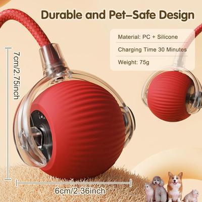 Show full view: Pawsible Smart Pet Chase Ball with Speedy Tail Rope Cat Toy slide 2 of 8