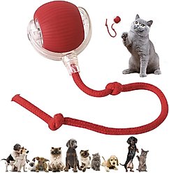 Pawsible Smart Pet Chase Ball with Speedy Tail Rope Cat Toy