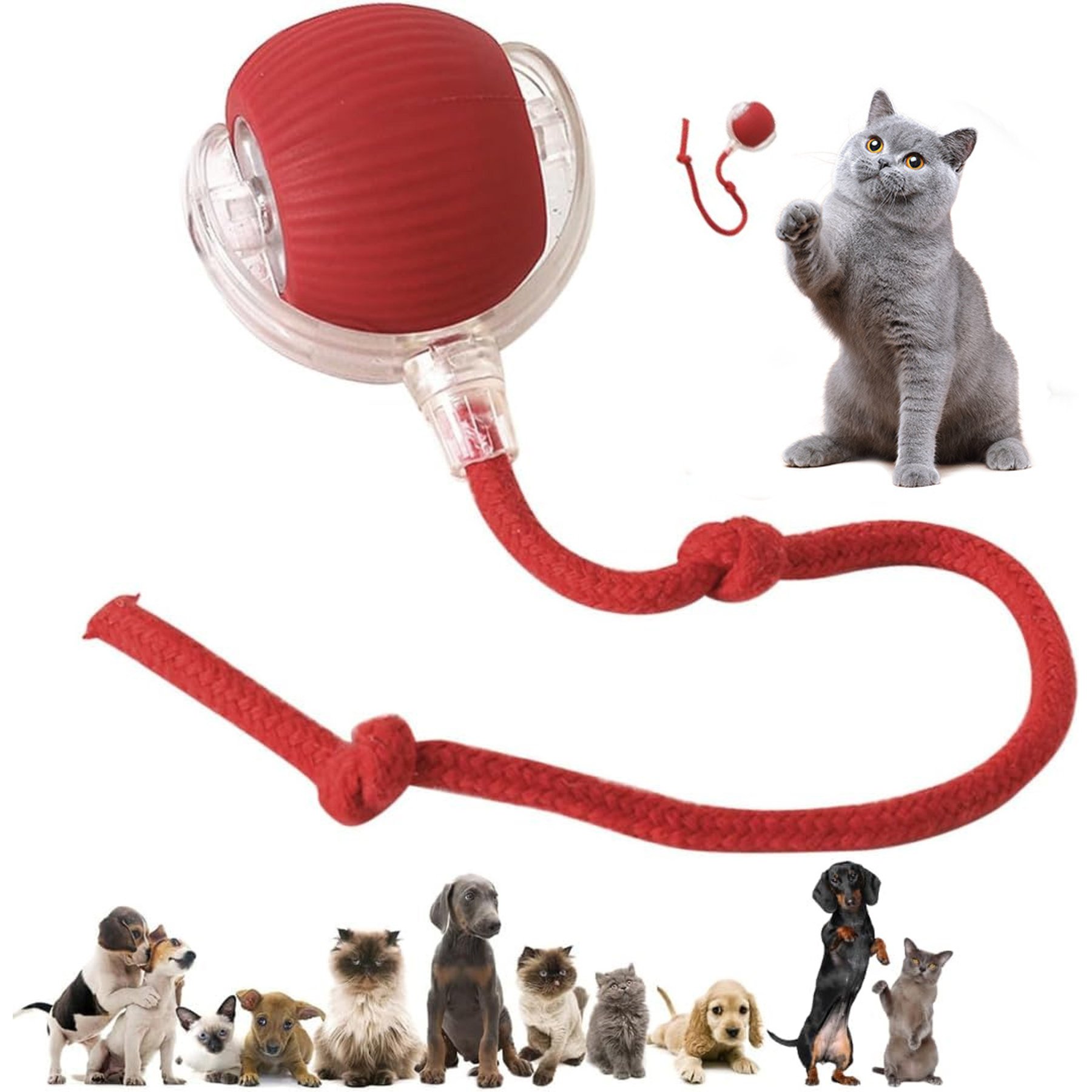 Pawsible Smart Pet Chase Ball with Speedy Tail Rope Cat Toy