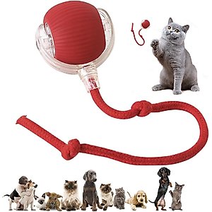 Pawsible Smart Pet Chase Ball with Speedy Tail Rope Cat Toy