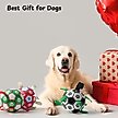 Show in main carousel: Nocciola Soccer Ball with Straps Dog Toy, Black/White, Medium slide 6 of 7