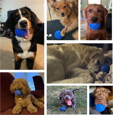 Show full view: Nocciola Squeaky Ball Dog Toy slide 2 of 6