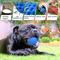 Show in main carousel: Nocciola Squeaky Ball Dog Toy slide 3 of 6