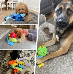 Nocciola Snuffle Ball Interactive Puzzle Dog Toy slide 2 of 6