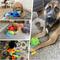 Show in main carousel: Nocciola Snuffle Ball Interactive Puzzle Dog Toy slide 6 of 7