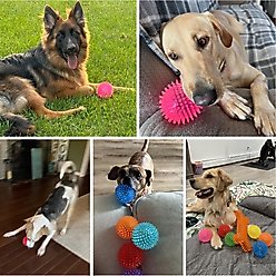 Nocciola 3.5-in Squeaky Balls Dog Toys, 6 count slide 2 of 6