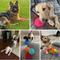 Show in main carousel: Nocciola 3.5-in Squeaky Balls Dog Toys, 6 count slide 7 of 7