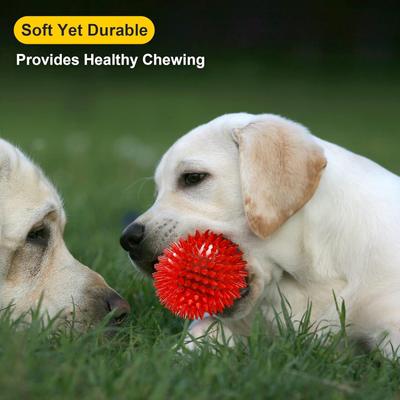 Show full view: Nocciola 3.5-in Squeaky Balls Dog Toys, 6 count slide 6 of 7