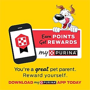 Purina Beggin' Strips Original with Bacon Flavored Dog Treats, 26-oz pouch, case of 2