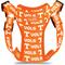 Show in main carousel: ShopInstaPets NCAA Basic Dog Harness, X-Small: 17 to 20.5-in chest, Tennessee Volunteers slide 4 of 4