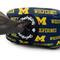 Show in main carousel: ShopInstaPets NCAA Poop Bag Holder, Michigan Wolverines slide 3 of 4
