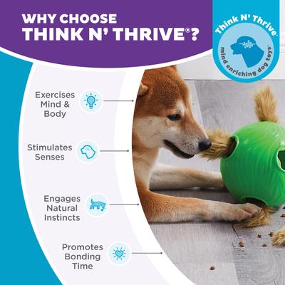 Show full view: Nina Ottosson by Outward Hound Snuffle N' Treat Interactive Puzzle Ball & Treat Dispenser Dog Toy, Green slide 7 of 11