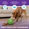Show in main carousel: Nina Ottosson by Outward Hound Snuffle N' Treat Interactive Puzzle Ball & Treat Dispenser Dog Toy, Green slide 4 of 11
