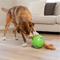 Show in main carousel: Nina Ottosson by Outward Hound Snuffle N' Treat Interactive Puzzle Ball & Treat Dispenser Dog Toy, Green slide 9 of 11