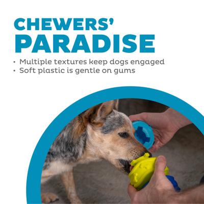 Show full view: Outward Hound Treat Locking Discs Dispenser Puzzle Dog Toy, Multiple Colors slide 4 of 8