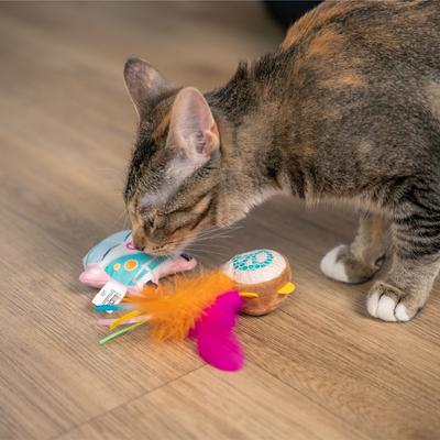 Show full view: Catstages Festival-Themed Interactive Plush Catnip Cat Toy, Multicolor, 3 count slide 8 of 11