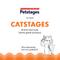Show in main carousel: Catstages Festival-Themed Interactive Plush Catnip Cat Toy, Multicolor, 3 count slide 7 of 11