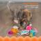 Show in main carousel: Catstages Festival-Themed Interactive Plush Catnip Cat Toy, Multicolor, 3 count slide 3 of 11
