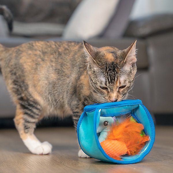Show full view: Catstages Hide & Seek Fish Bowl Interactive Cat Puzzle Toy, Blue slide 8 of 11
