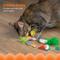 Show in main carousel: Catstages Garden Fur-ends Plush Catnip Cat Toy, Multicolor, 6 count slide 3 of 10
