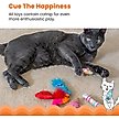 Show in main carousel: Catstages Kitty Sweet Treats Plush Catnip Cat Toys, Multicolor, 6 count slide 4 of 11