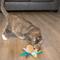 Show in main carousel: Catstages Flapperz Duck Plush Interactive Catnip Cat Toy, Multicolor slide 7 of 10