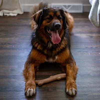 Show full view: Petstages Super Dogwood Stick Tough Dog Chew Toy, Large slide 9 of 11