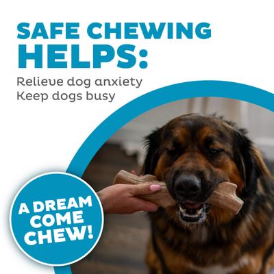 Show full view: Petstages Super Dogwood Stick Tough Dog Chew Toy, Large slide 5 of 11