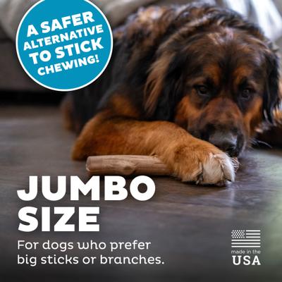 Show full view: Petstages Super Dogwood Stick Tough Dog Chew Toy, Large slide 4 of 11