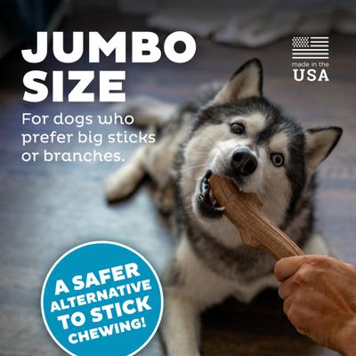 Show full view: Petstages Super Dogwood Stick Tough Dog Chew Toy, Medium slide 5 of 12