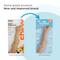 Show in main carousel: Petstages Super Dogwood Stick Tough Dog Chew Toy, Medium slide 8 of 12