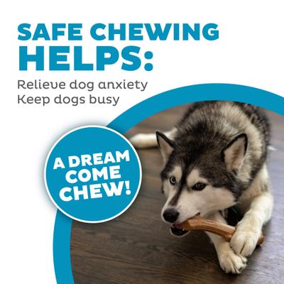 Show full view: Petstages Super Dogwood Stick Tough Dog Chew Toy, Medium slide 6 of 12