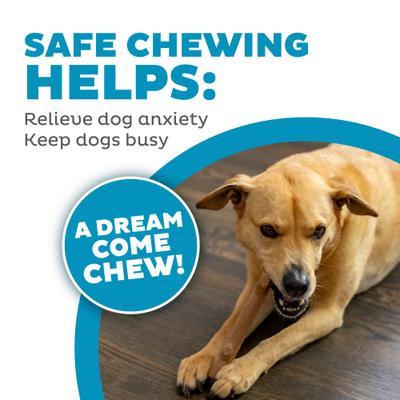 Show full view: Petstages Super Dogwood Stick Tough Dog Chew Toy, Small slide 6 of 12